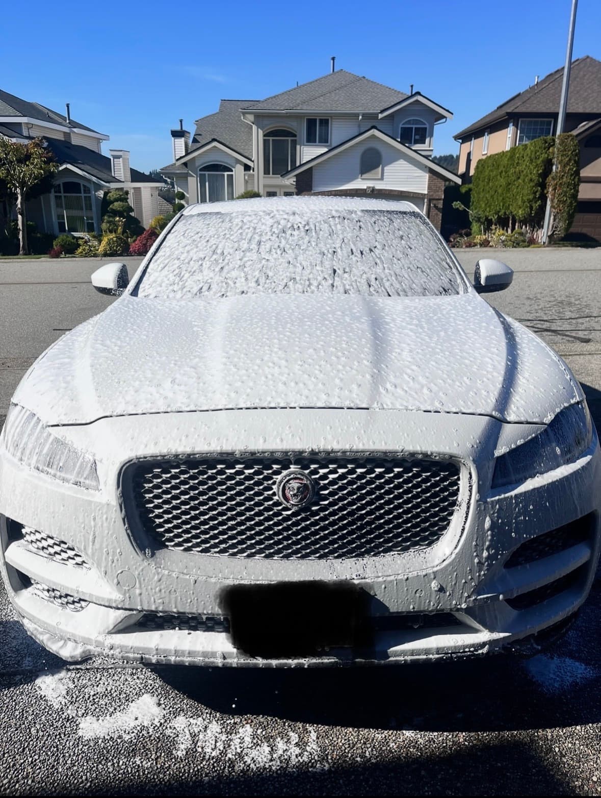 Jaguar Exterior — Crystal Coat Mobile detailing in Port Coquitlam, BC